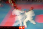برگزاري مسابقات جايزه بزرگ كاراته در استان فارس